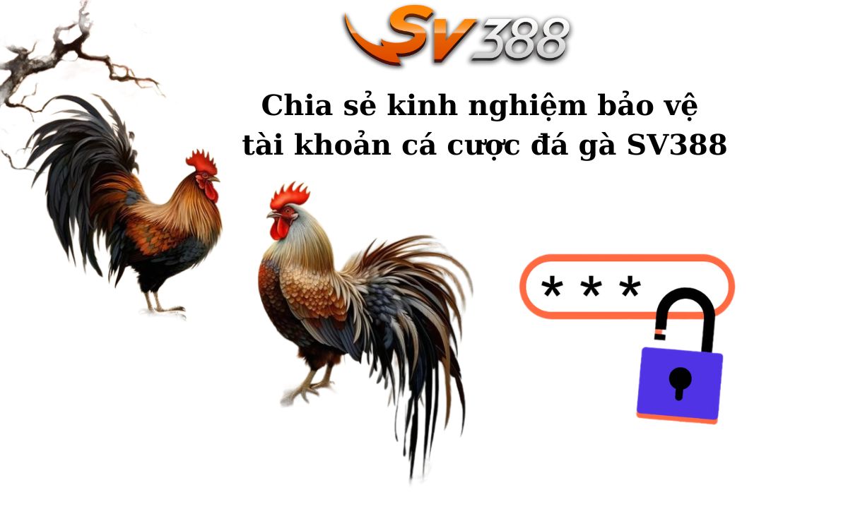 Chia sẻ kinh nghiệm bảo vệ tài khoản đá gà SV388